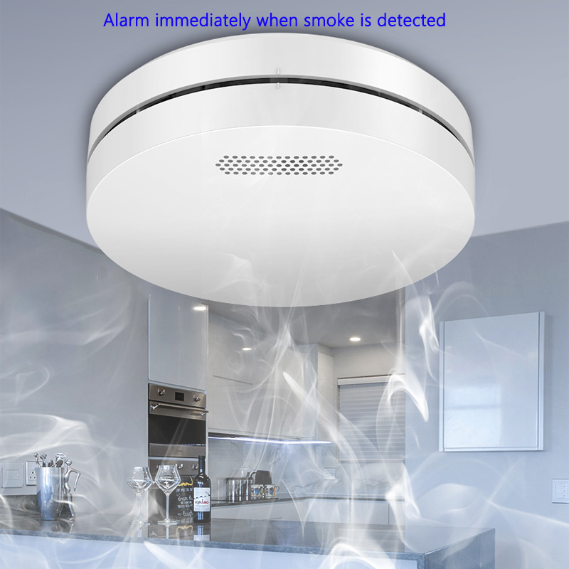 Tuya WiFi Detection Audible an – обзор и цена Smart Smoke Detector