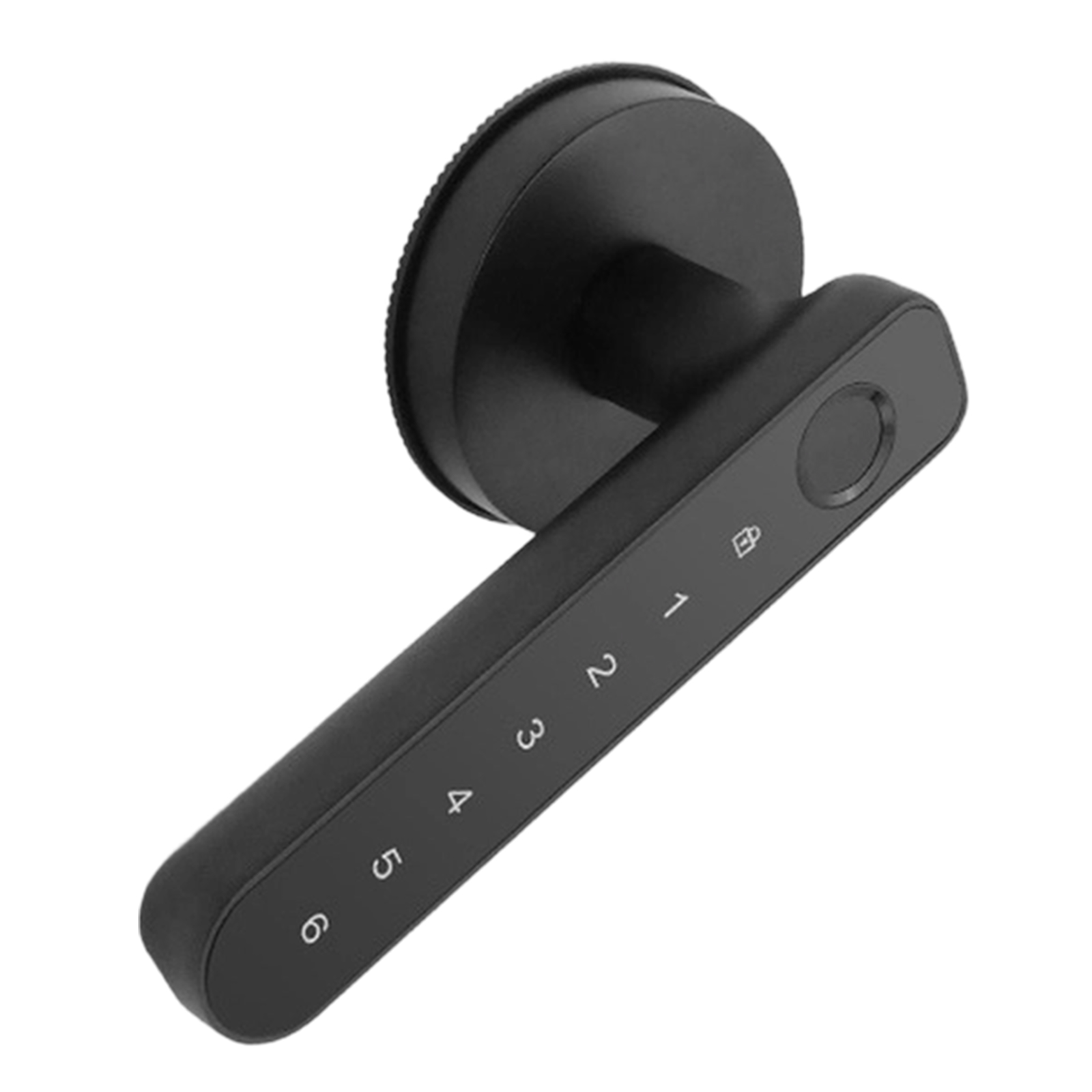Smart Handle Lock with Fingerp – обзор и цена Smart Home Lock