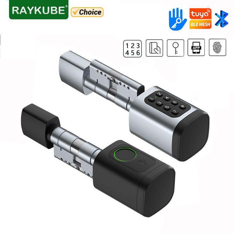 RAYKUBE V1 Tuya BLE TT Lock Sm – обзор и цена Smart Home Lock