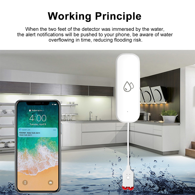 Tuya WiFi Water Leakage Alarm  – обзор и цена Smart Home News